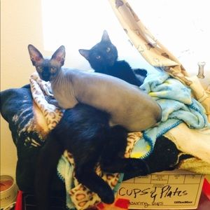 Meet your Posher, Mary